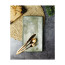 Блюдо прямоугольное Porland Stoneware Selene, 28,5x16 см