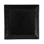 Тарелка квадратная Porland Ethos Black Moss, 27 см