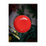Тарелка глубокая Porland Seasons Red, 21 см 