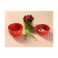 Салатник Porland Seasons Red, 13 см 