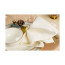Тарелка для пиццы Porland Seasons Beige, 28 см 