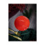 Салатник Porland Seasons Red, 550 мл 