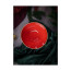 Салатник Porland Seasons Red, 16 см
