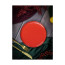 Тарелка для пиццы Porland Seasons Red, 20 см 