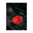 Соусник квадратный Porland Seasons Red, 7х10 см 
